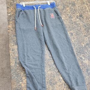 Psycho Bunny Gray and Blue Kids Joggers
